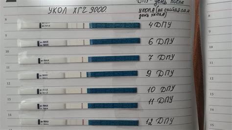 beta hcg inferior a 10mui/ml